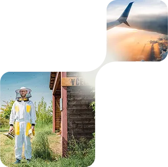 Environmentální odpovědnost